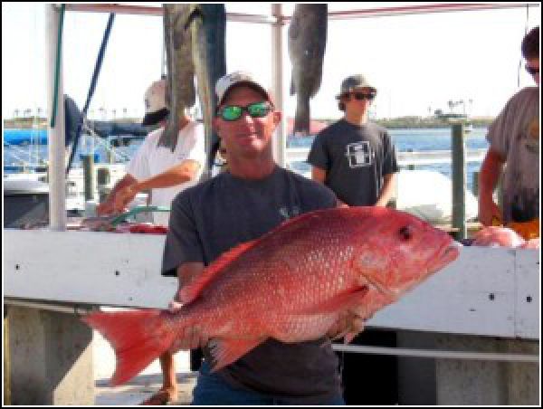 Image of a big red snapper